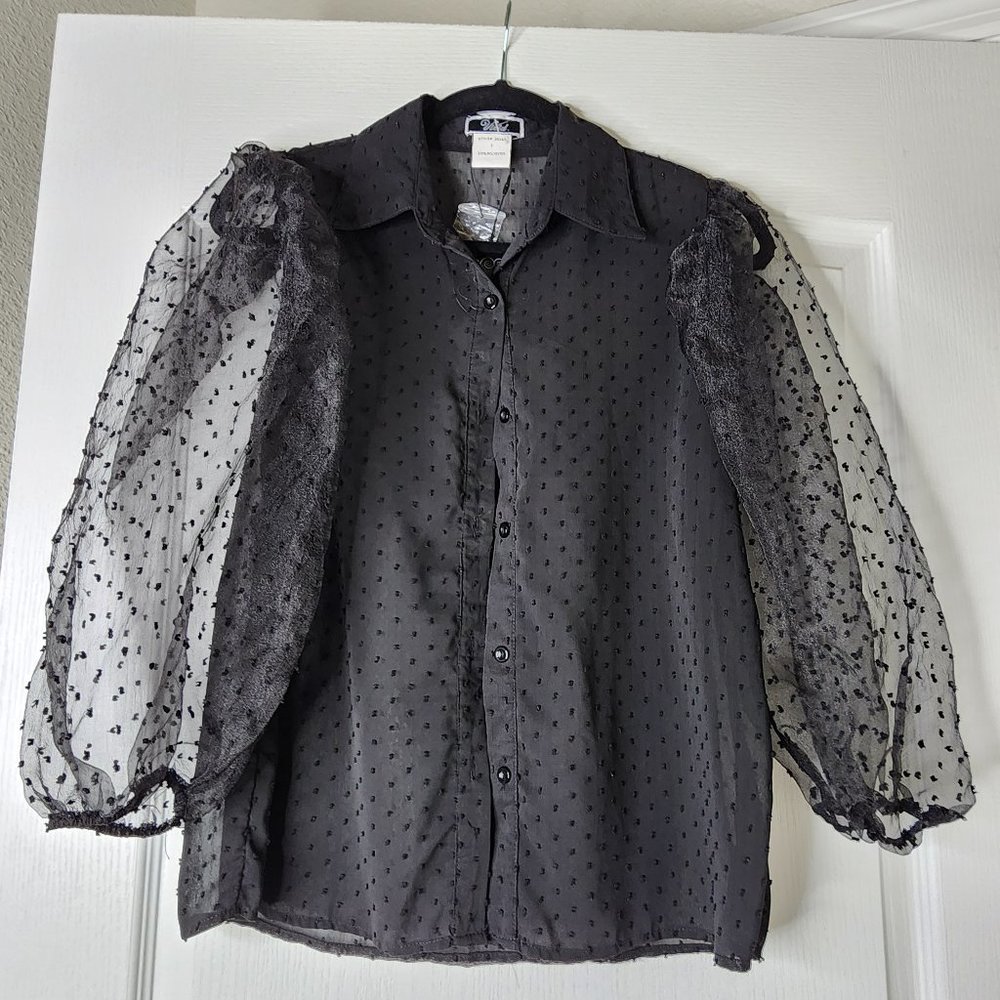 See through Long Sleeve Blouse